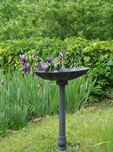 birdbath and irises